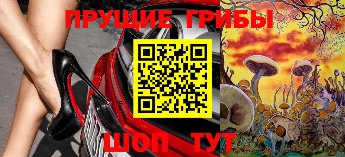 Псилоцибиновые грибы Psilocybe Партизанск