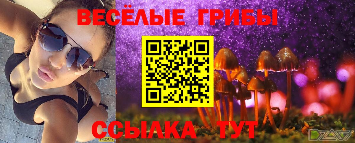 Партизанск  Галлюциногенные грибы мухоморы  Вход с VPN 